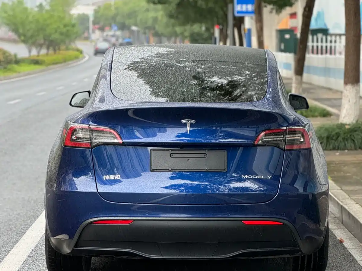 Фото 3 - Tesla Model Y