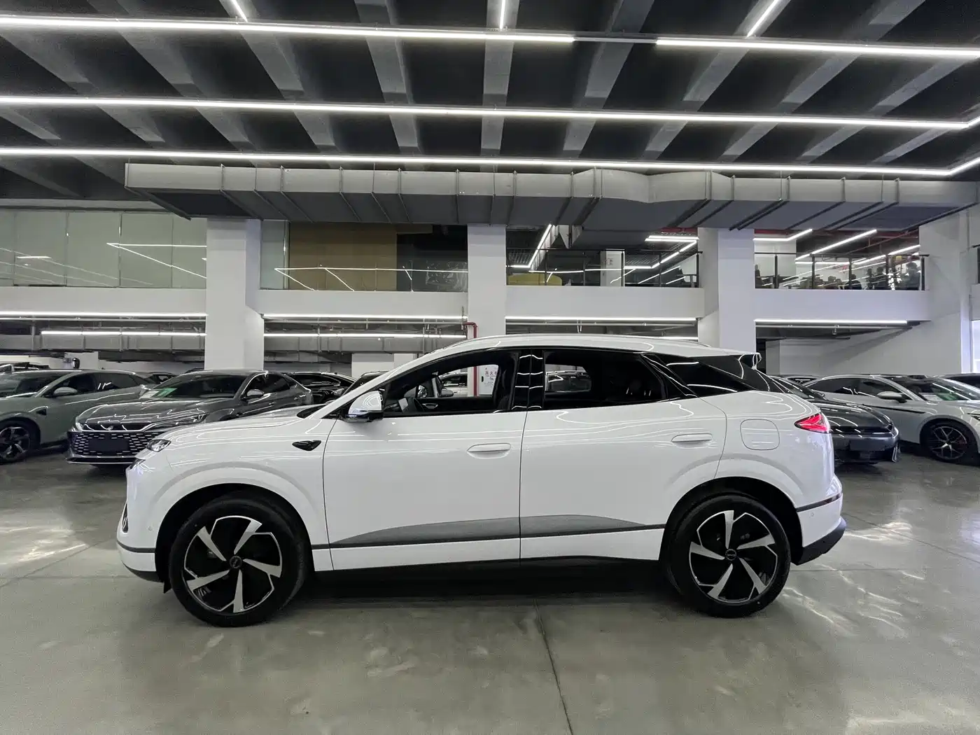BYD Sealion 06 New Energy 2025 DM-i 170 Pilot Pro Edition фото 5