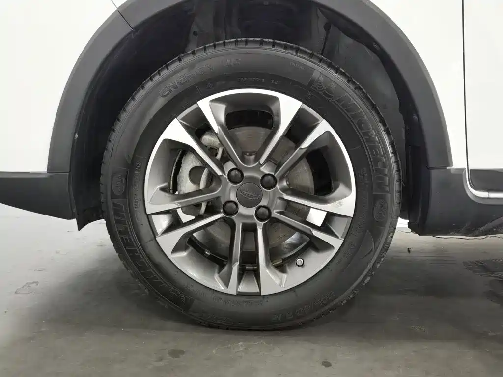 Geely Geometry EX3 Kung Fu Bull 2022 2021 Strong Bull