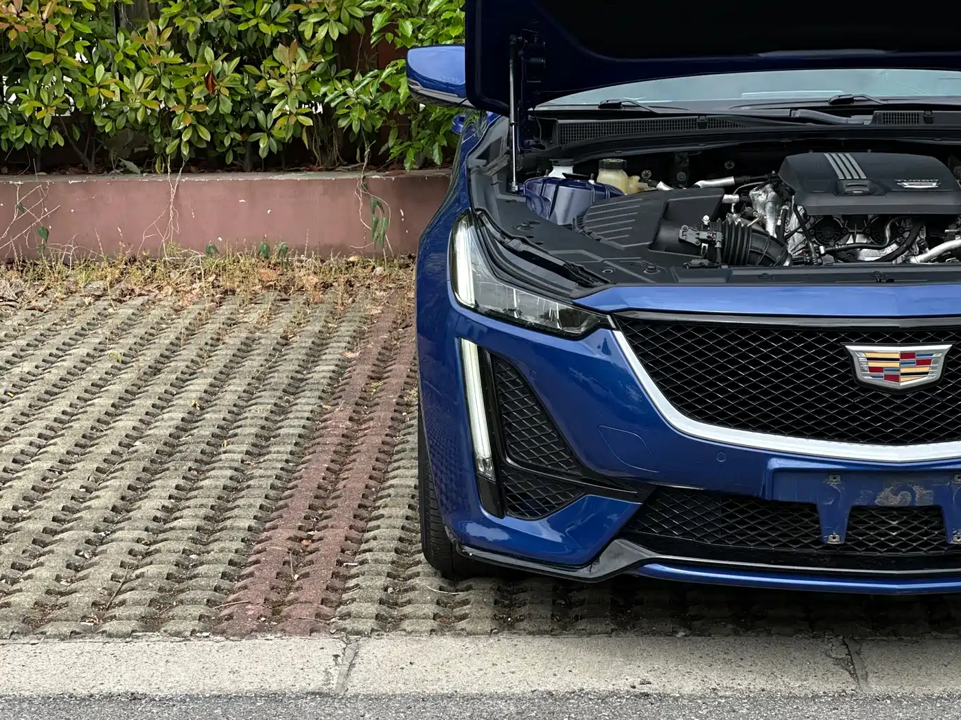 Cadillac CT5 2021 28T Leading Sport фото 27