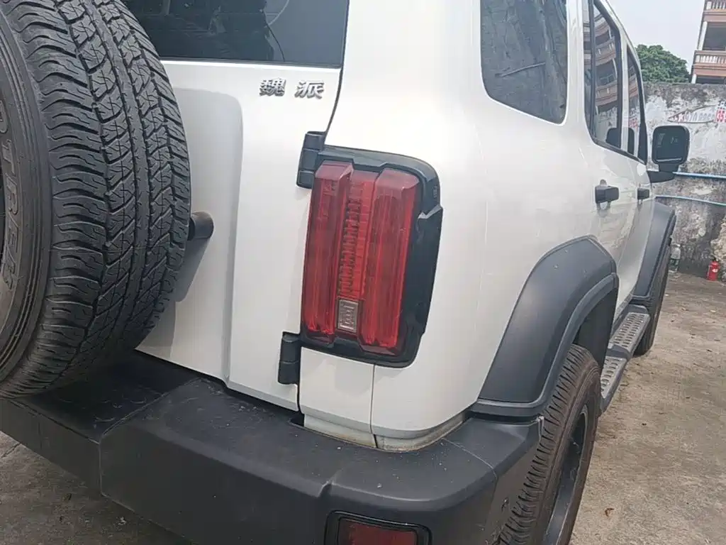Tank 300 2021 2021 Off-road Version 2.0T Conqueror