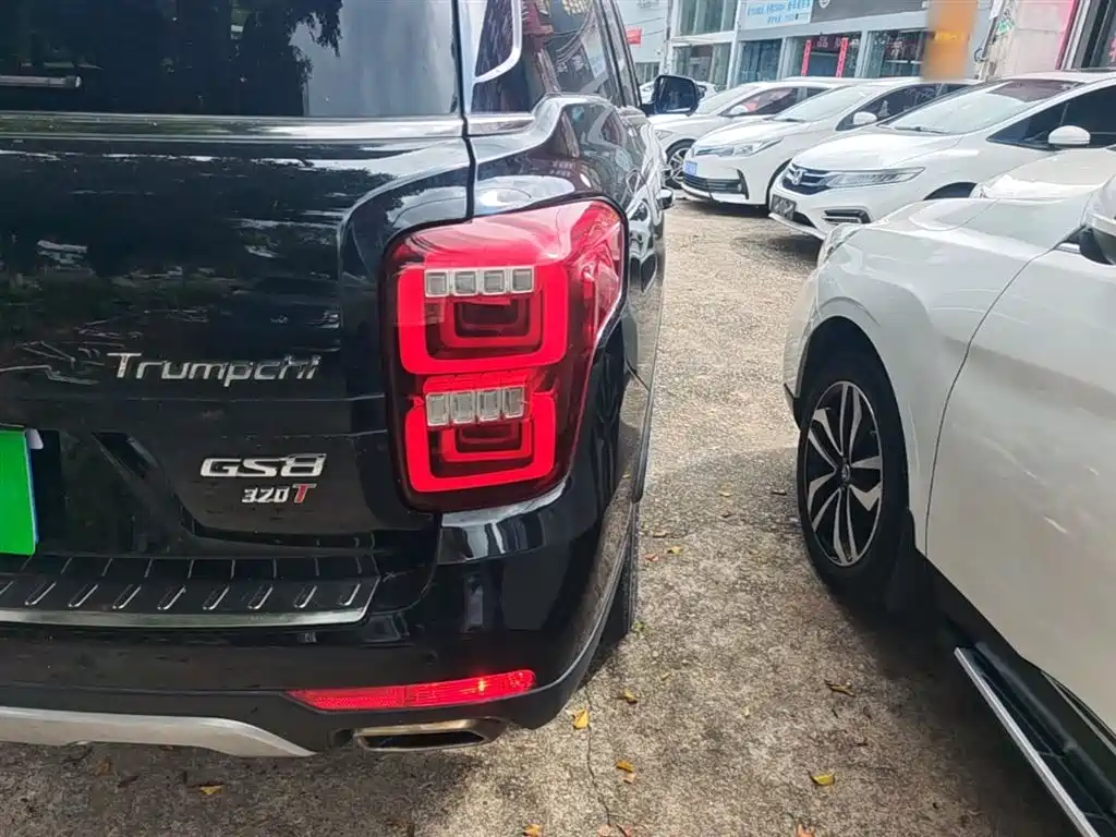 GAC Trumpchi Trumpchi GS8 2017 320T AWD Luxury Smart Connect (7-Seater) фото 8