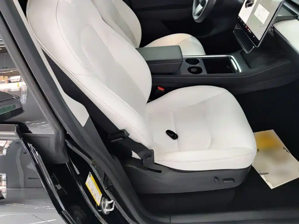 Tesla Model Y 2021 2021 Standard Range Rear-Wheel Drive