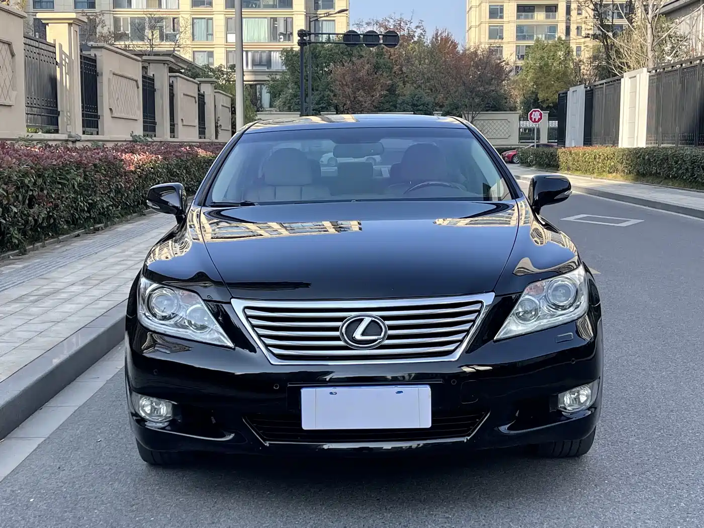 Lexus LS 2010 460L Premium Edition фото 2
