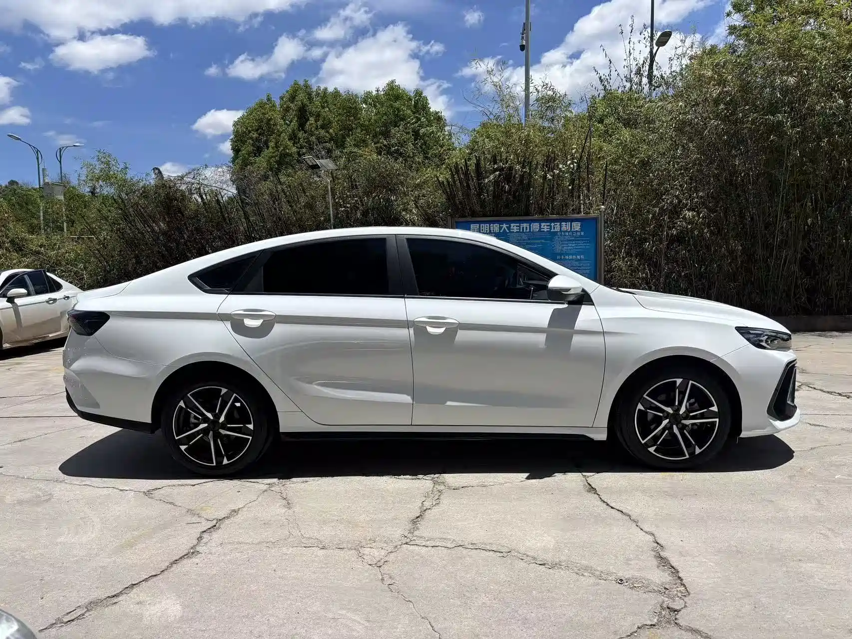 Фото 8 - Geely Binrui