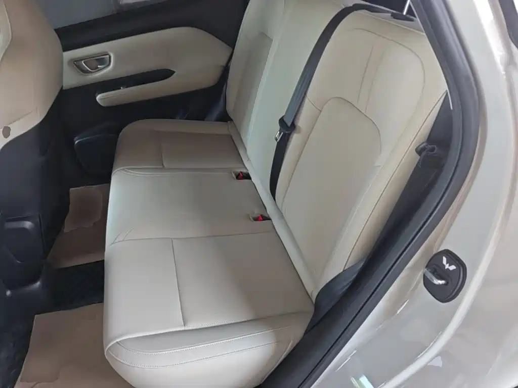 Wuling Motors Wuling Binguo PLUS 2025 2024 Model 330km 5-Seater