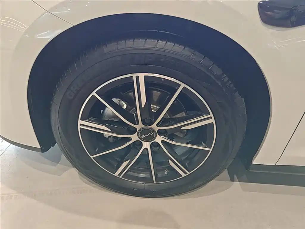 BYD Seal 06 New Energy 2025 DM-i Smart Drive Edition 120KM Luxury фото 23