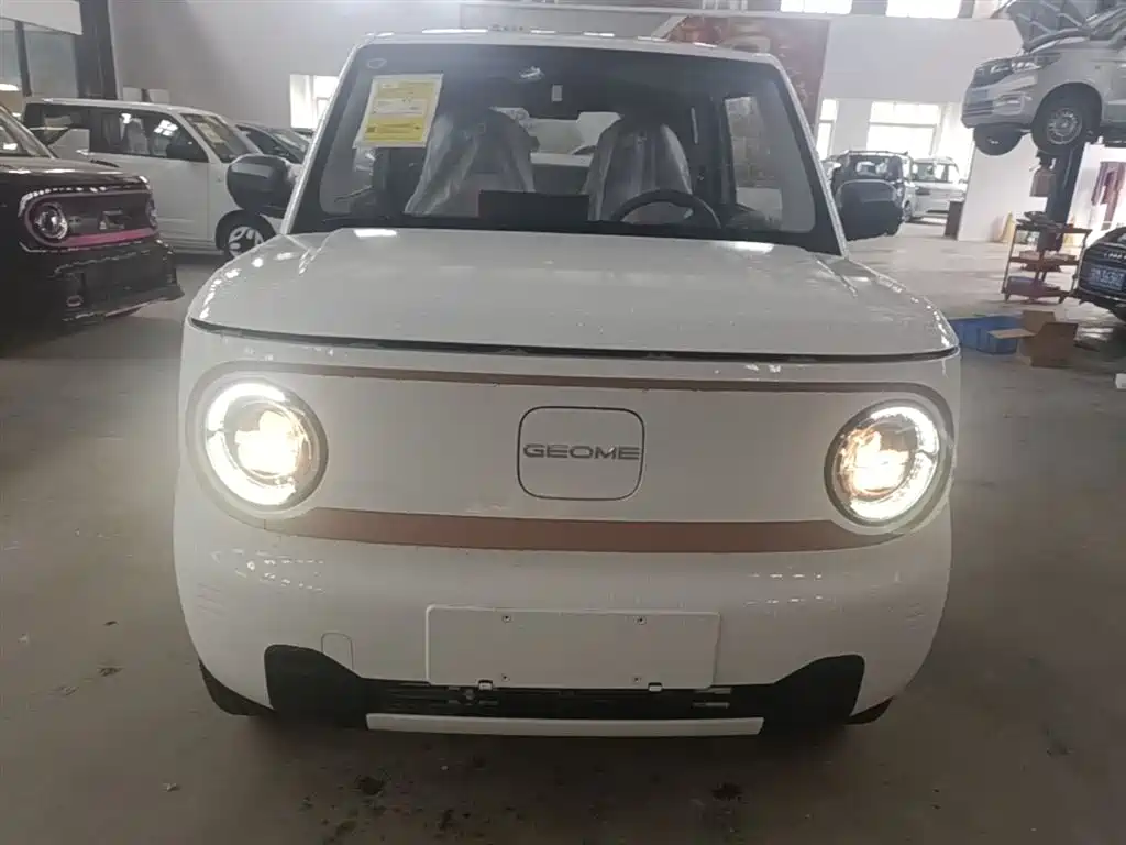Geely Galaxy Panda 2025 Panda mini 210km Vitality Bear фото 3