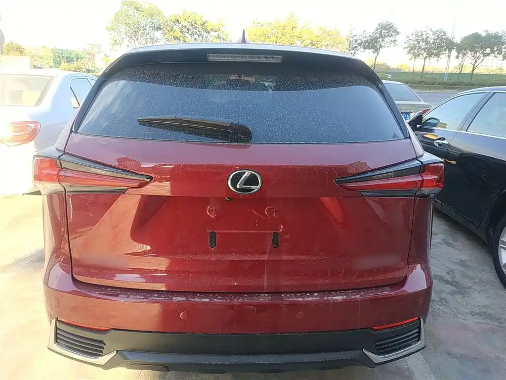 Lexus NX 2018 Model 200 FWD Fengxing Edition China V фото 22
