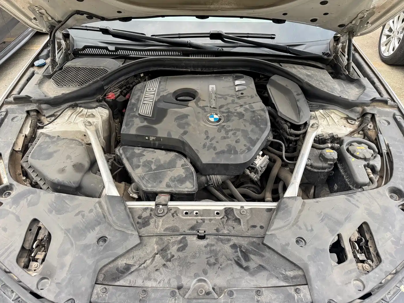 BMW 5 Series 2020 530Li Leading Luxury Package фото 10
