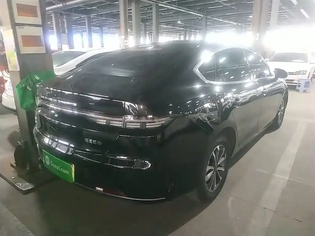 BYD Destroyer 05 2024 Glory Edition DM-i 55KM Luxury фото 7