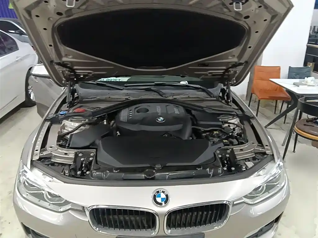 BMW 3 Series 2017 320Li Fashion фото 20