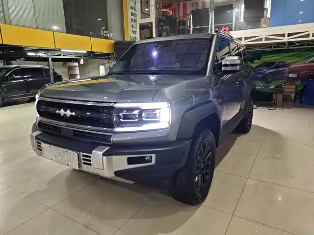 fang-cheng-bao leopard-5