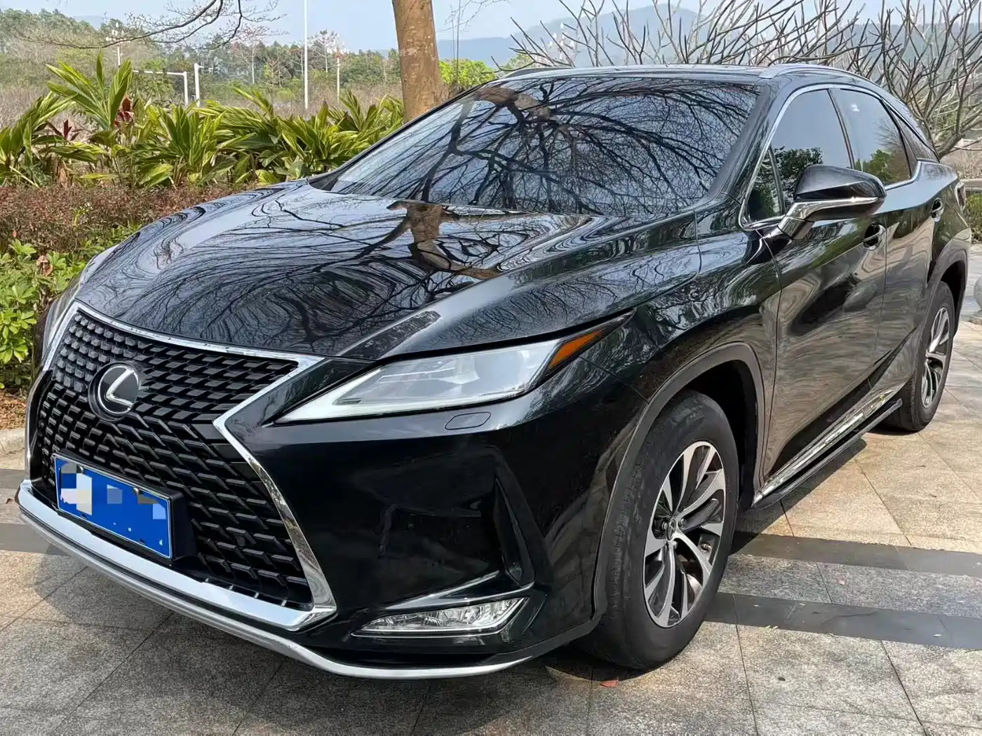 LEXUS RX
