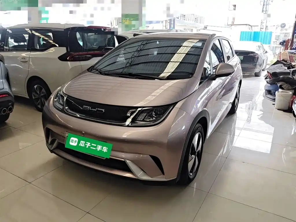BYD Dolphin 2023 420km Freedom Edition