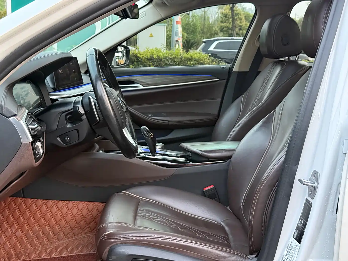 BMW 5 Series 2019 530Li Leading Luxury Package фото 11