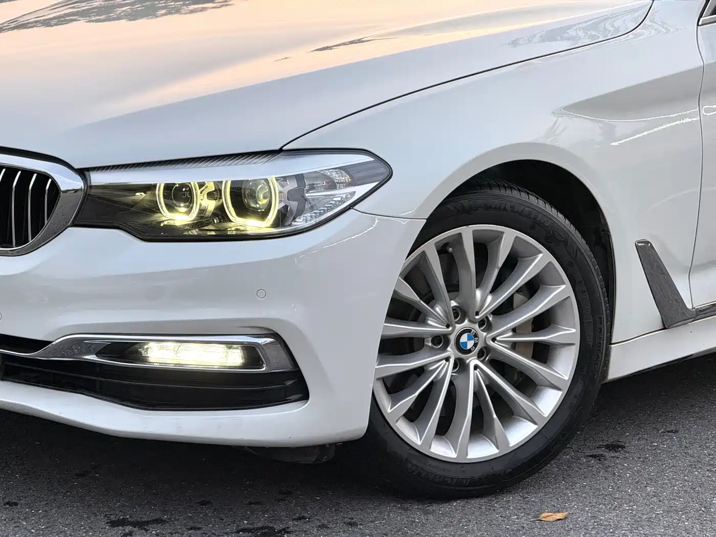 BMW 5 Series 2019 530Li Leading Luxury Package фото 4