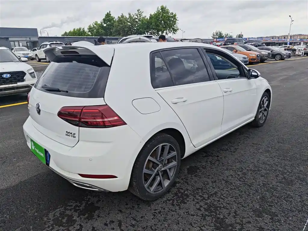Volkswagen Golf 2020 280TSI DSG Luxury фото 7