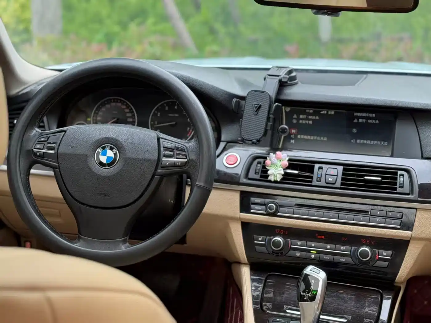BMW 5 Series 2011 523Li Leading фото 12