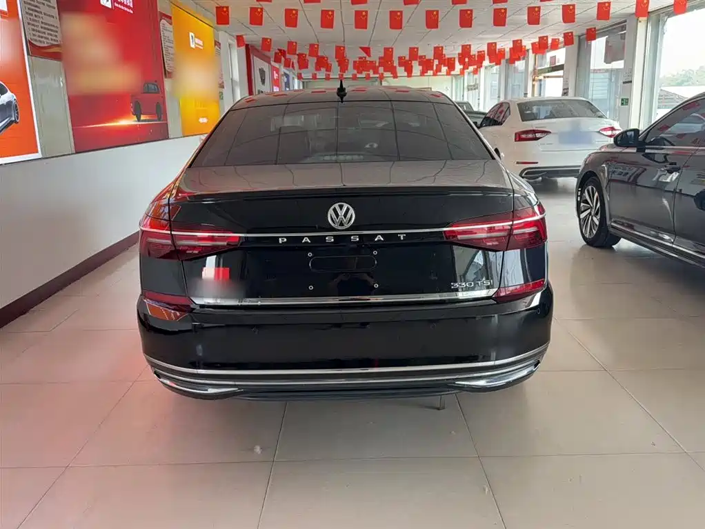 Volkswagen Passat 2019 330TSI Luxury Edition China VI фото 6