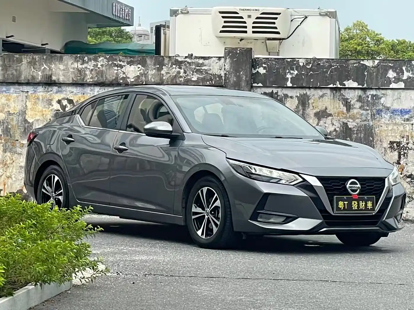 Фото 3 - Nissan Sylphy