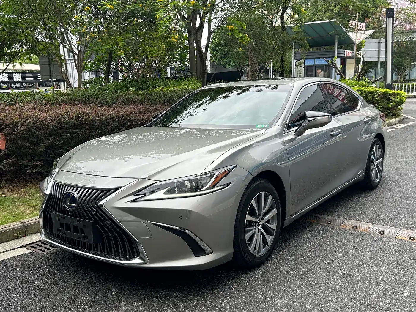 Lexus ES 2018 300h Excellence Edition China V