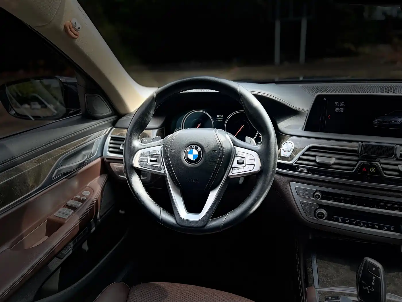 BMW 7 Series 2016 740Li Leading Edition фото 7
