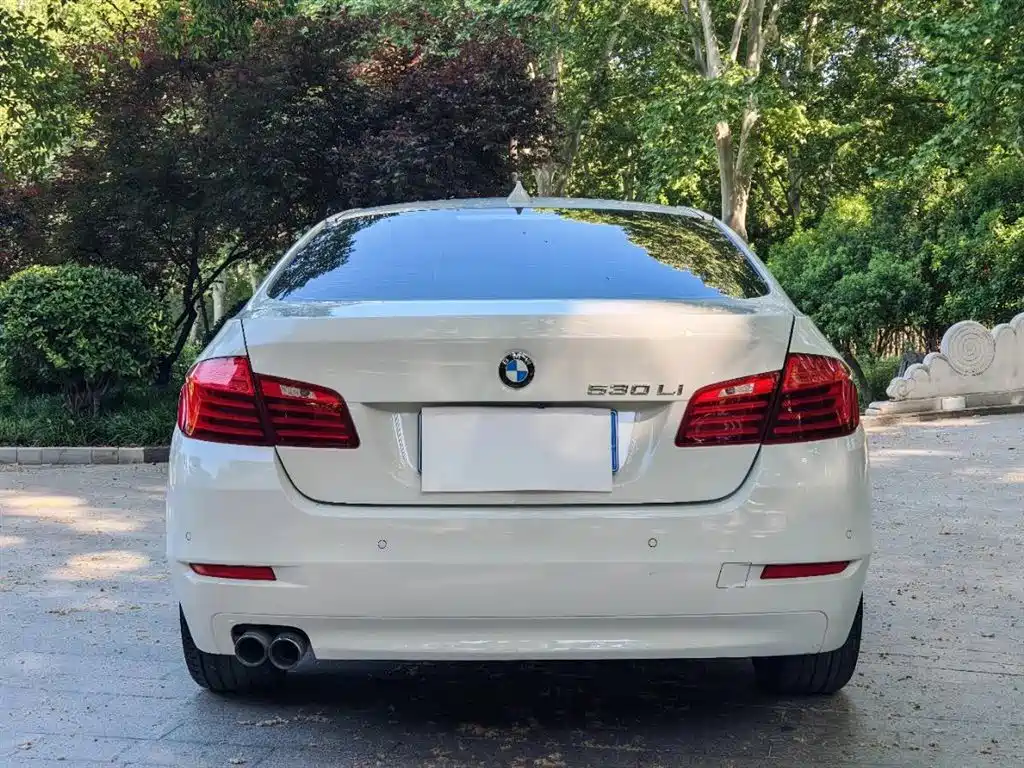 BMW 5 Series 2014 530Li Leading фото 5