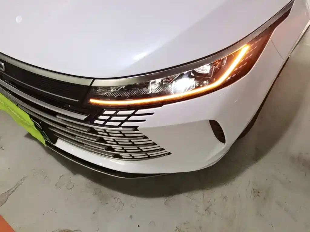 Фото 24 - BYD Destroyer 05
