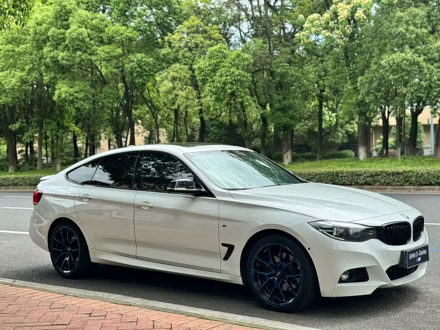 BMW 3 Series GT 2019 330i xDrive M Sport фото 3