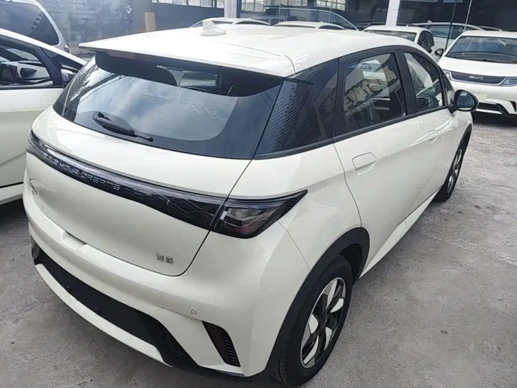 BYD Dolphin 2026 2025 420km Freedom Edition