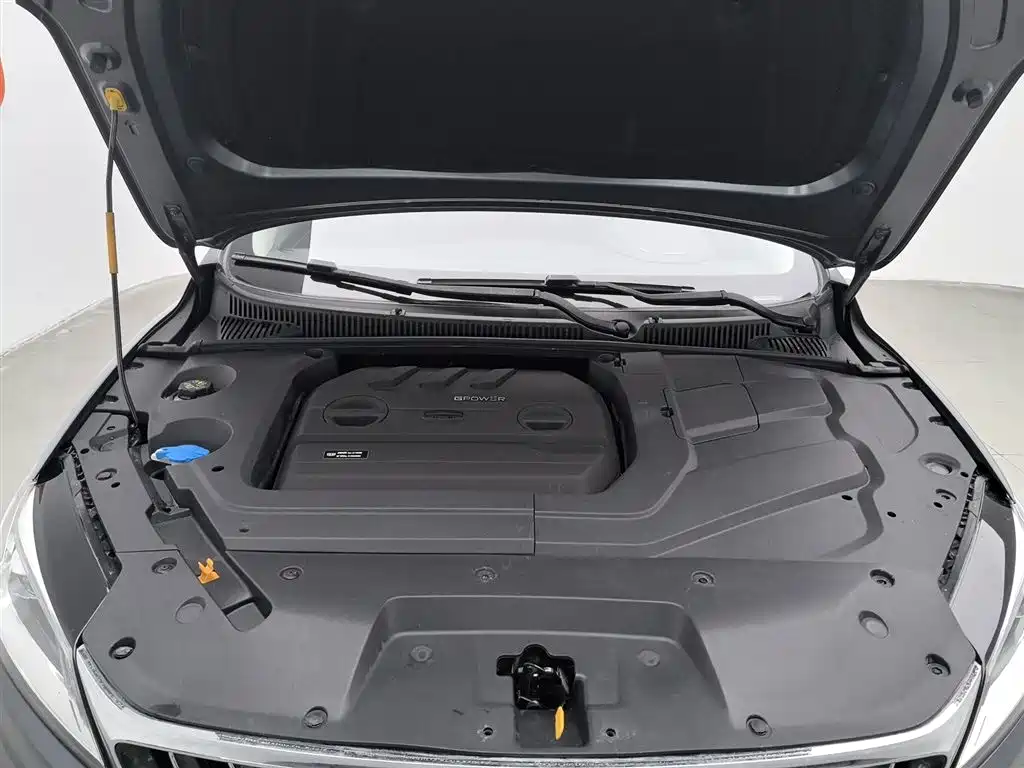 GEELY AUTOMOBILE BINRUI