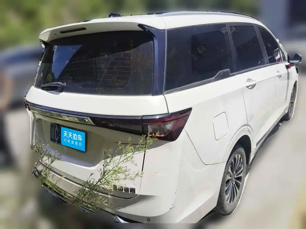 Wuling Motors Wuling Jiachen 2022 2022 1.5T CVT Exclusive Flagship Model