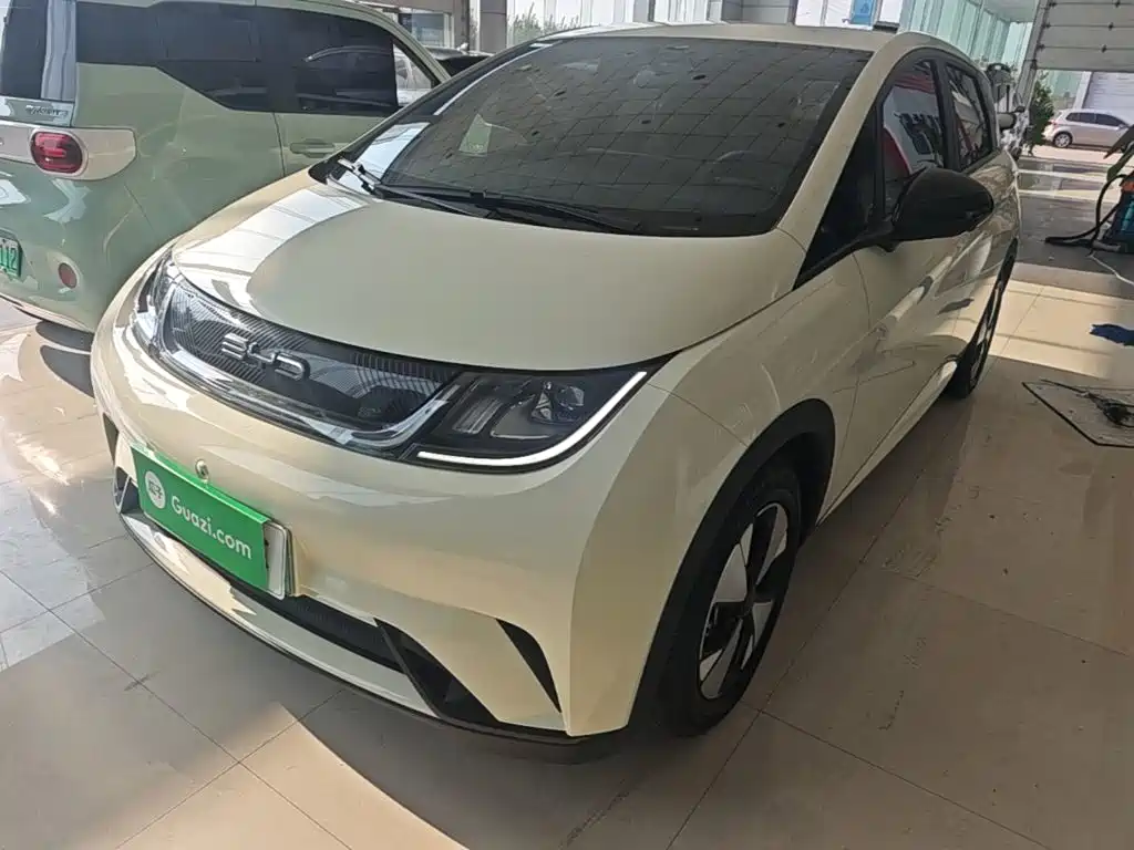 Фото 2 - BYD Dolphin
