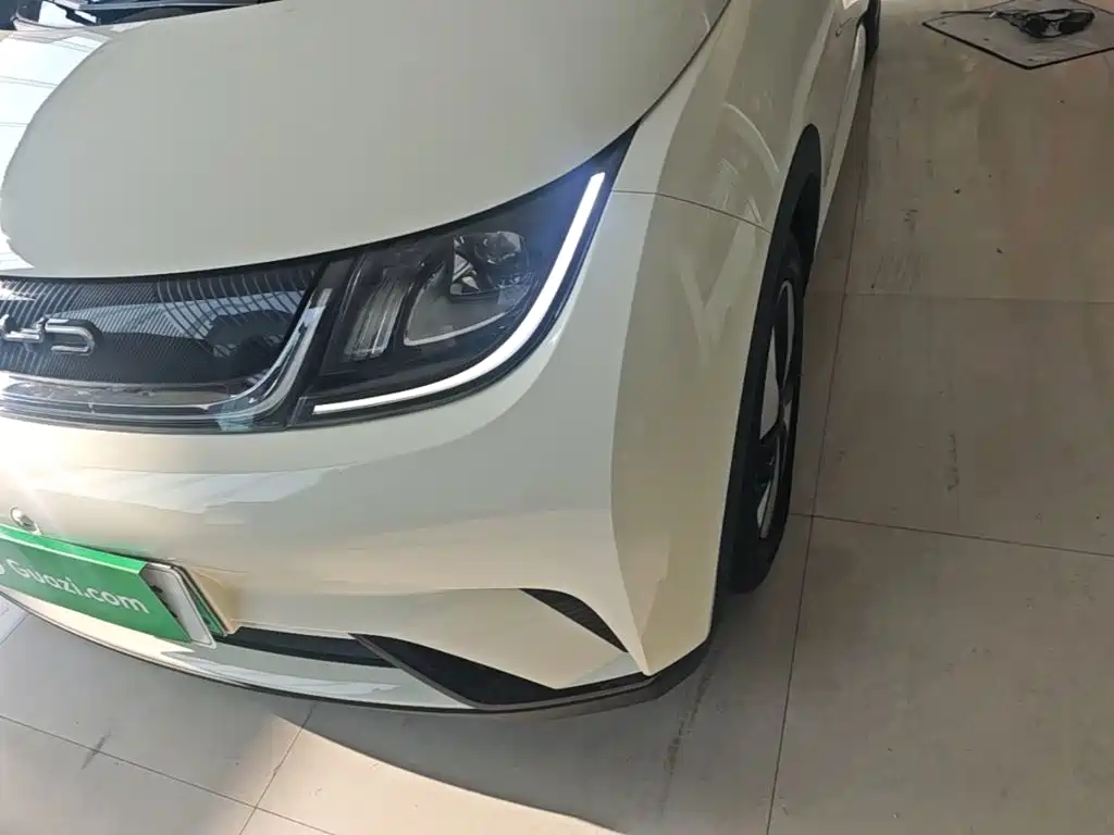 Фото 24 - BYD Dolphin