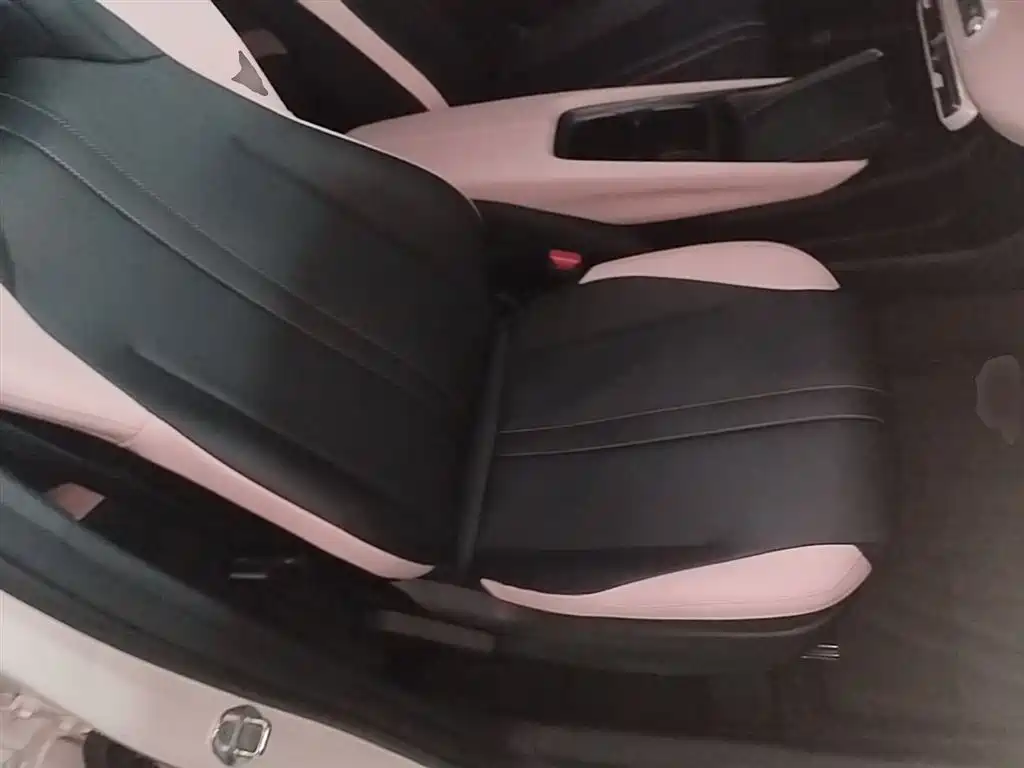 BYD Seagull 2025 Smart Drive Edition 305km Vitality Version фото 25