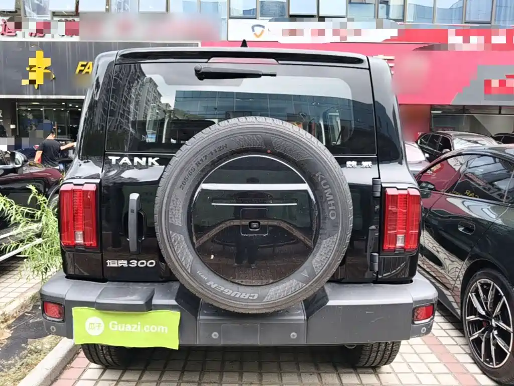 Tank 300 2021 2021 Off-road Version 2.0T Conqueror