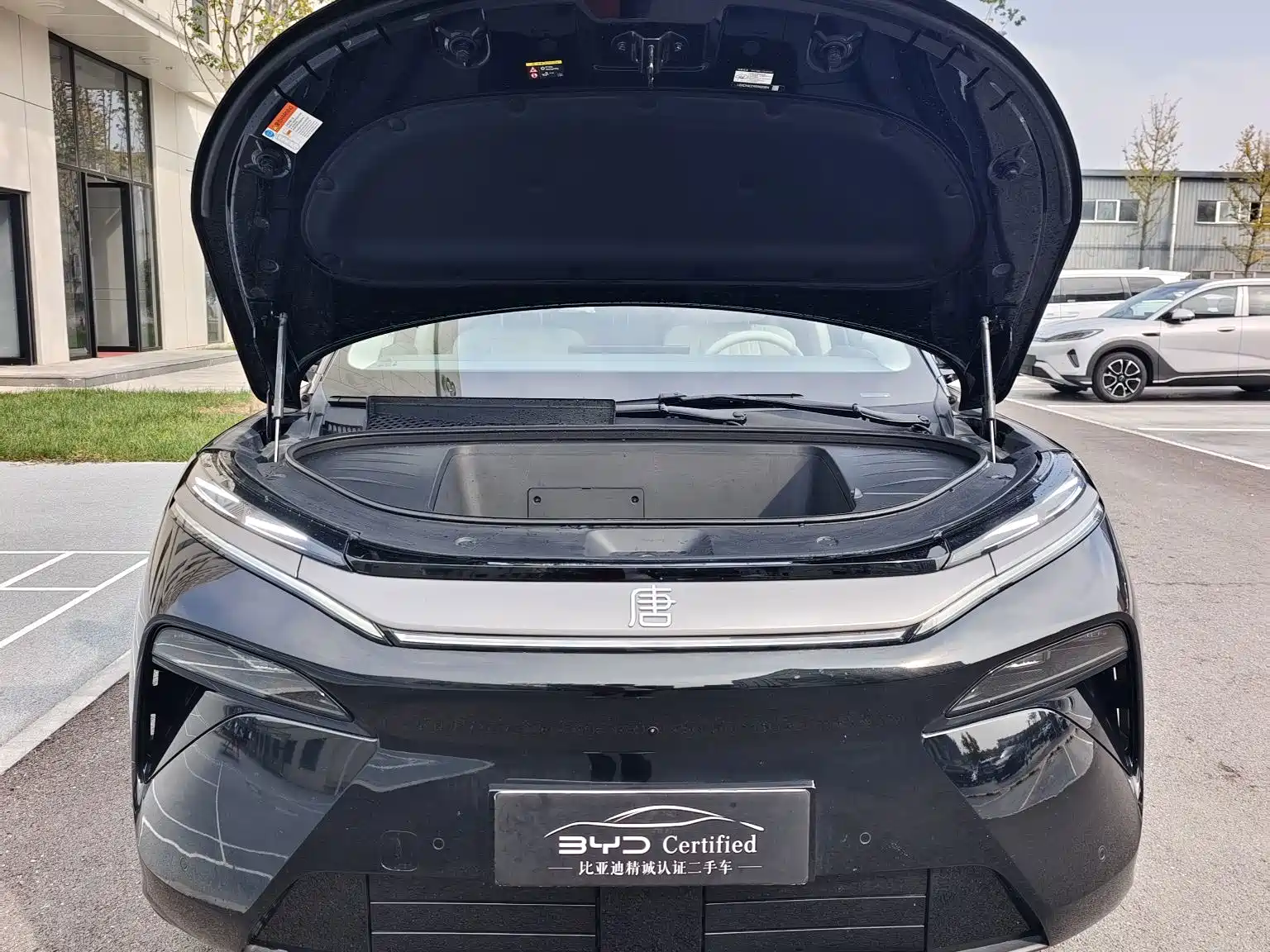Фото 2 - BYD Tang L