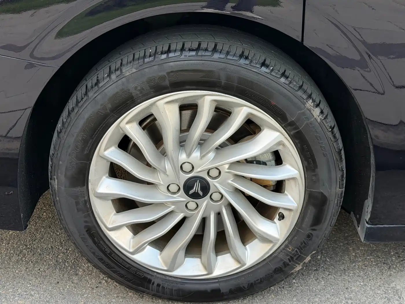 Фото 6 - Voyah Auto Voyah Dreamer