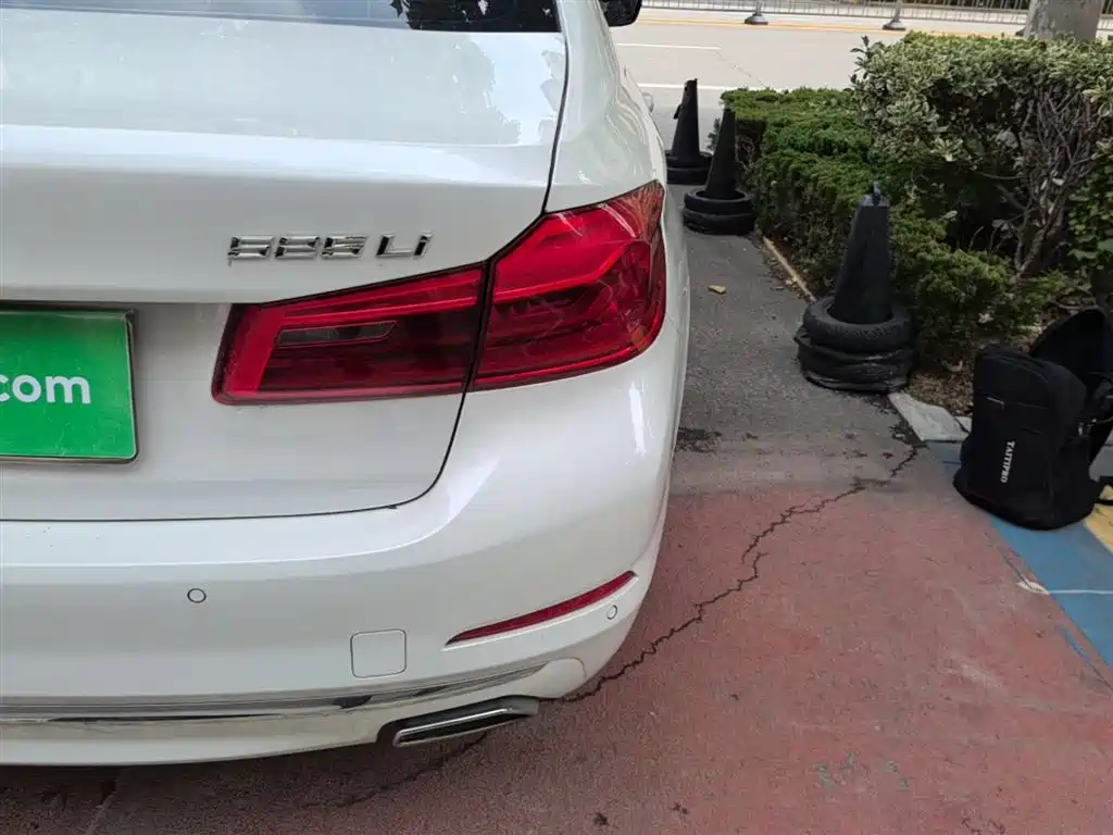 BMW 5 Series 2020 525Li Luxury Package фото 8