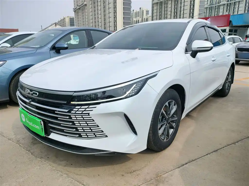 BYD Destroyer 05 2024 Glory Edition DM-i 55KM Luxury