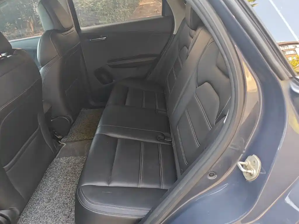 BYD e2 2020 2019 Long Range Yao·Luxury Model