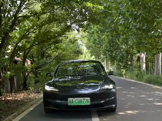 Tesla Model 3 Задний привод