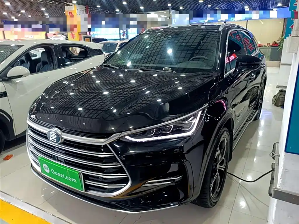 BYD Tang New Energy 2021 DM 2.0T AWD High Performance Premium