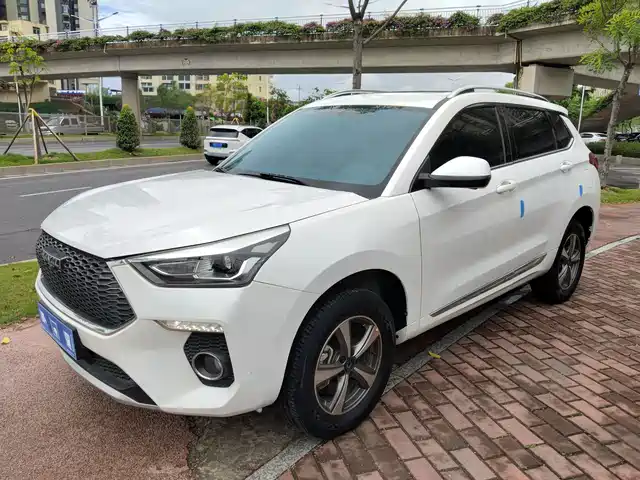 Haval Haval H6 Coupe 2019 1.5T Auto 2WD Luxury Smart Edition China VI