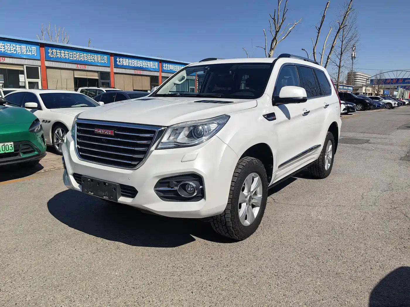 HAVAL H9