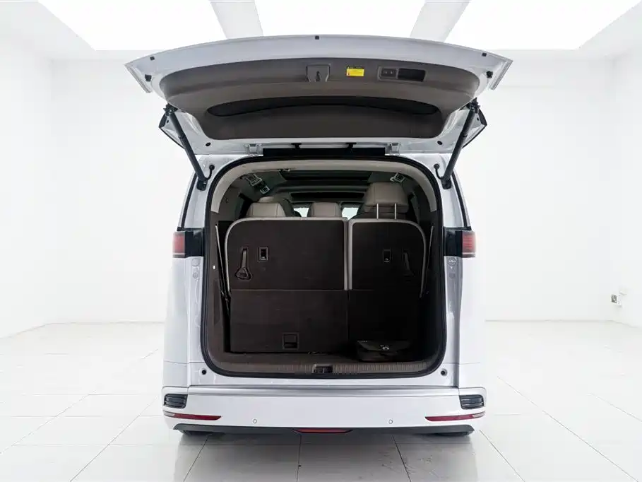 Denza D9 2022 DM-i 970 AWD Flagship фото 13