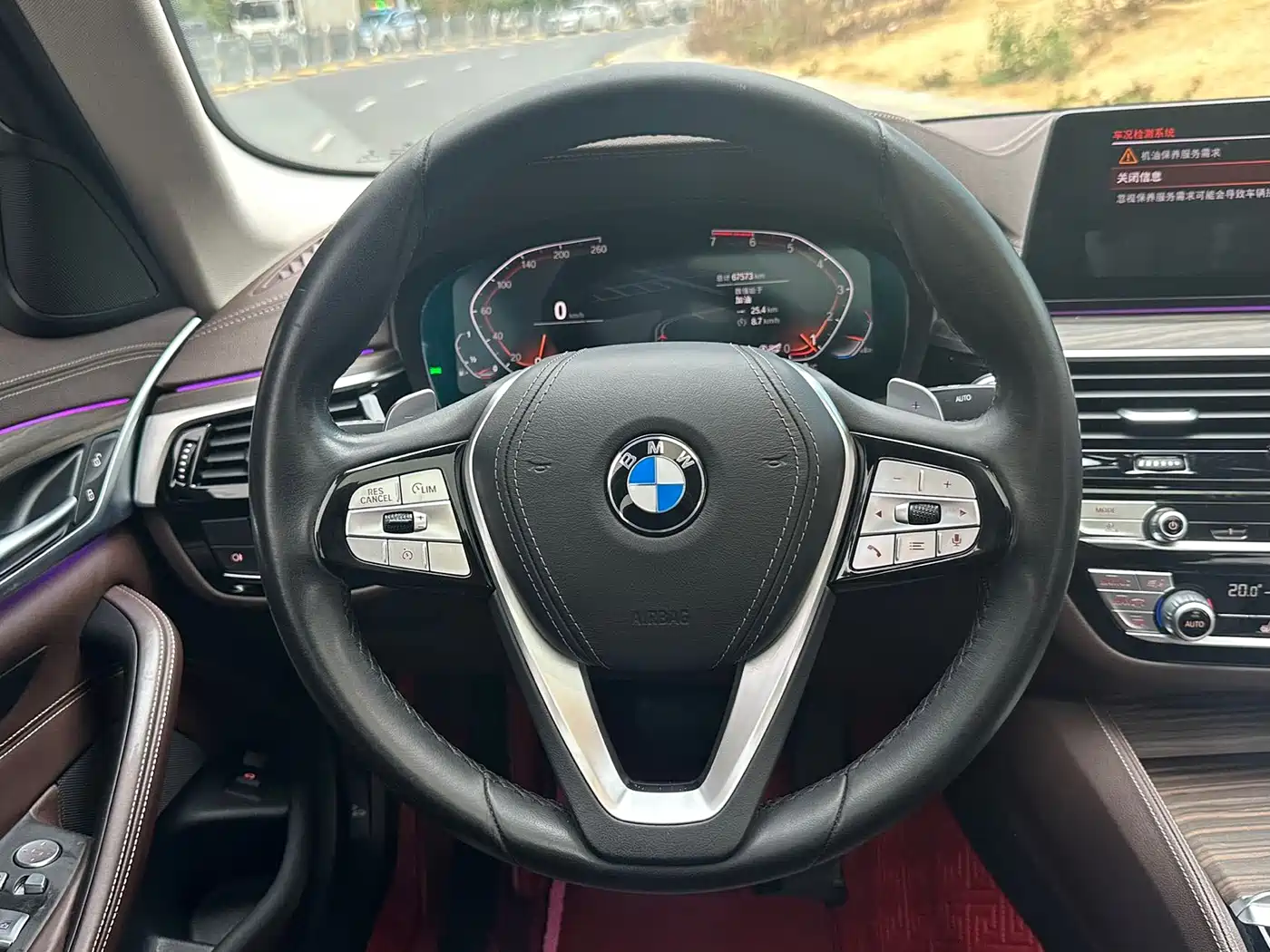BMW 5 Series 2020 530Li Leading Luxury Package фото 15