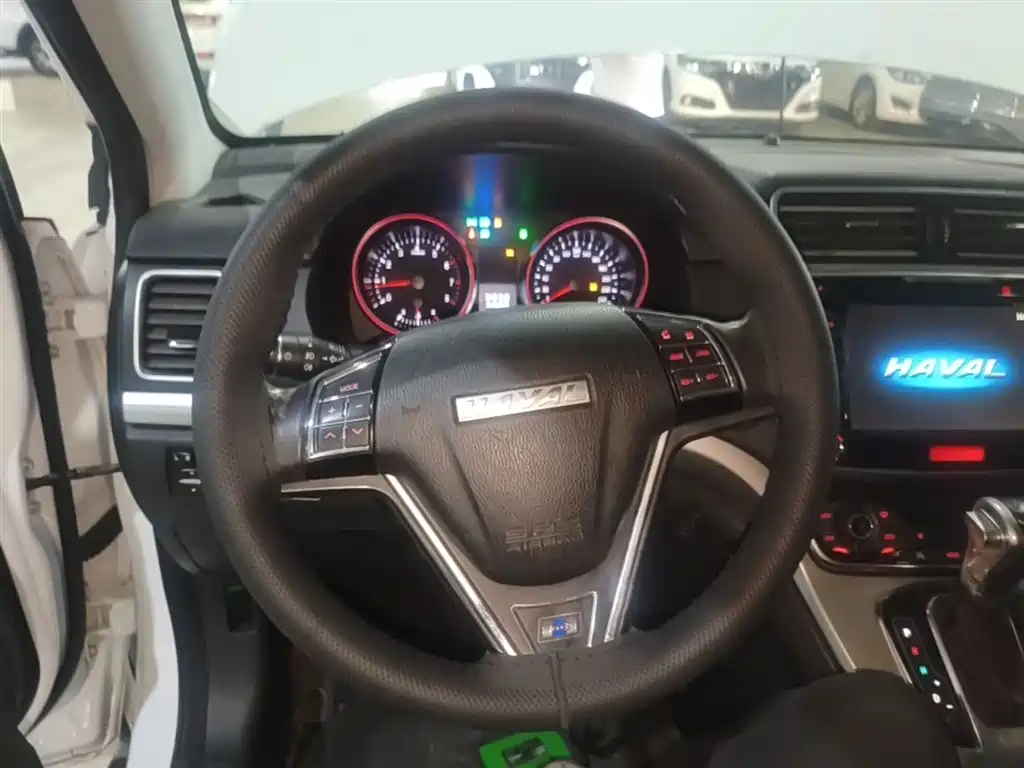 Haval H6 2017 Blue Label Sport 1.5T Auto 2WD Luxury фото 11