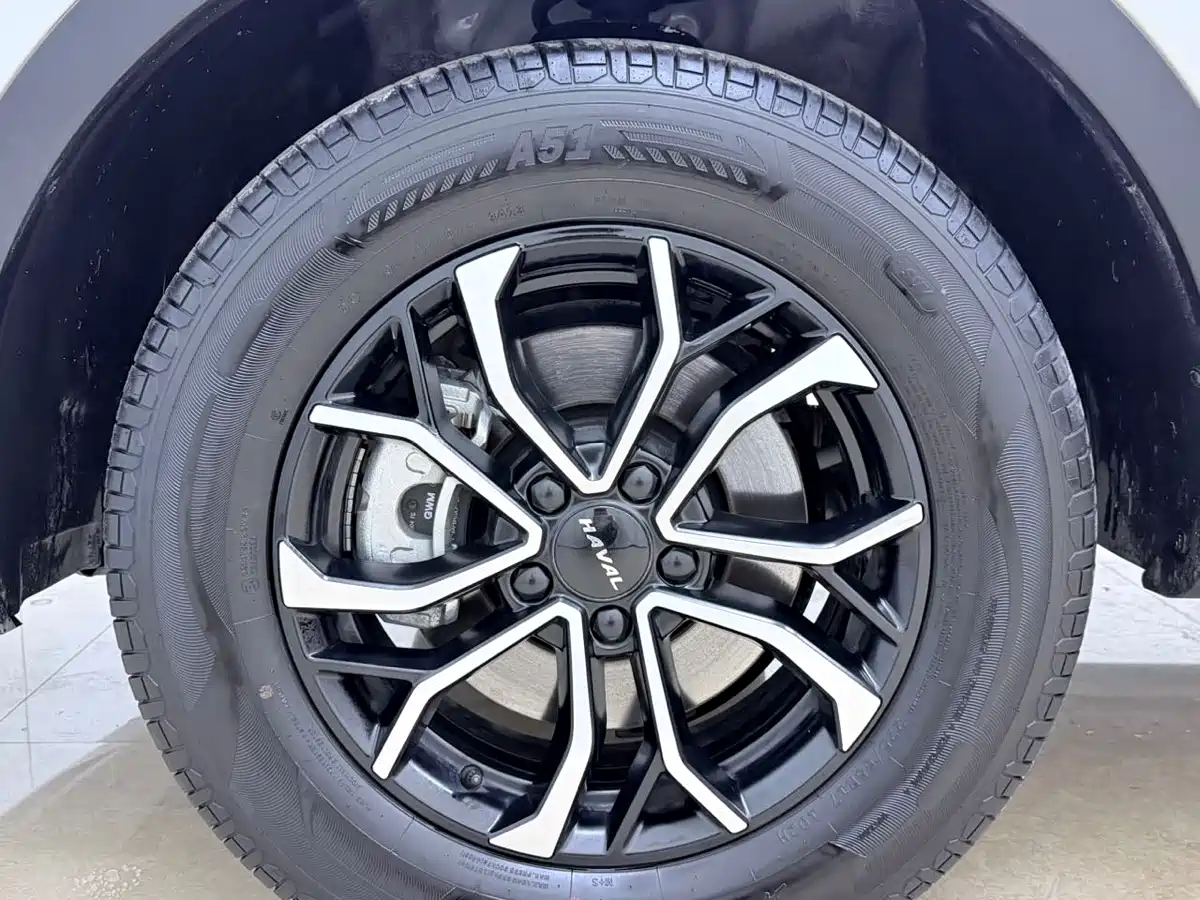 Haval H6 2023 National Trend Edition 1.5T Automatic Urban фото 25